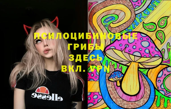 дурь Бутурлиновка